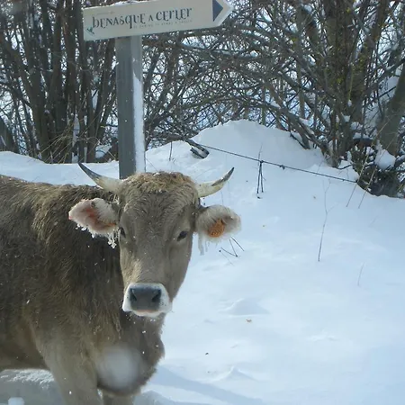 Apartment Ball Benas Edificio Prados De Velarta Aramón Cerler