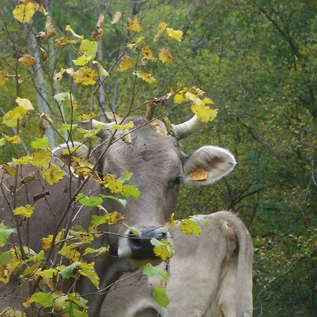 Ball Benas Edificio Prados De Velarta Apartment